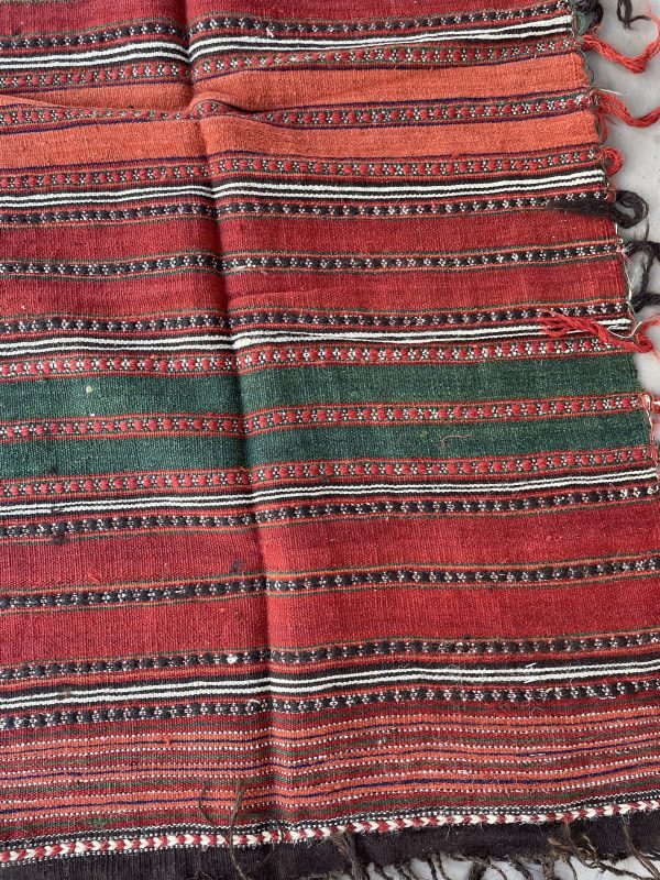 Persian Shiraz Jajim 512 x 142 cm - Image 6