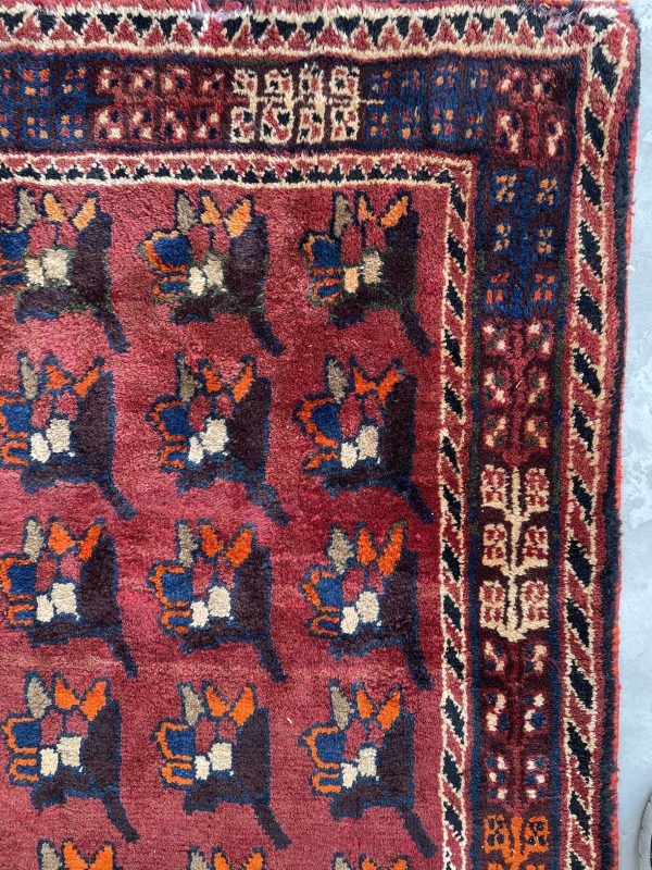 Persian Qashqaie 250 x 190 cm - Image 5