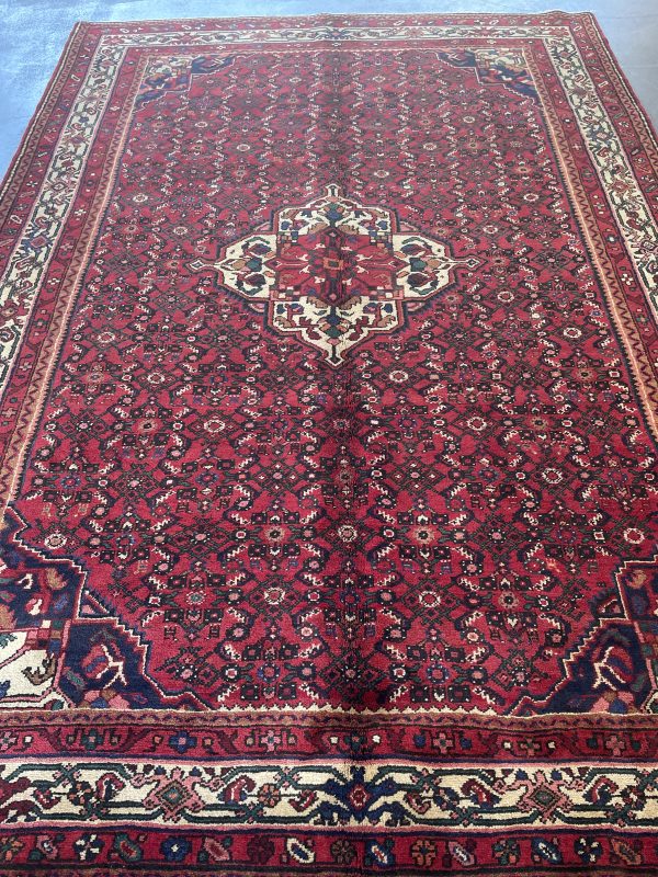 Persian Everoo 290 x 205