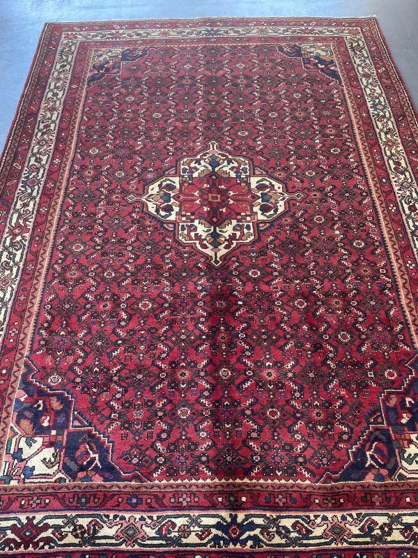 Persian Everoo 290 x 205 - Image 4