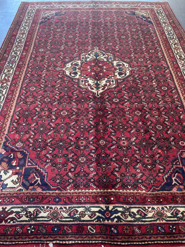 Persian Everoo 290 x 205 - Image 5