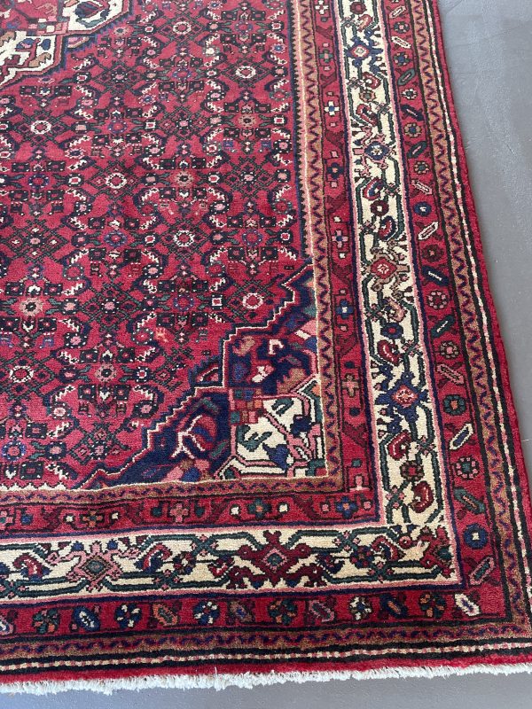Persian Everoo 290 x 205 - Image 6