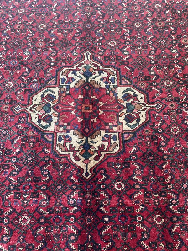 Persian Everoo 290 x 205 - Image 7