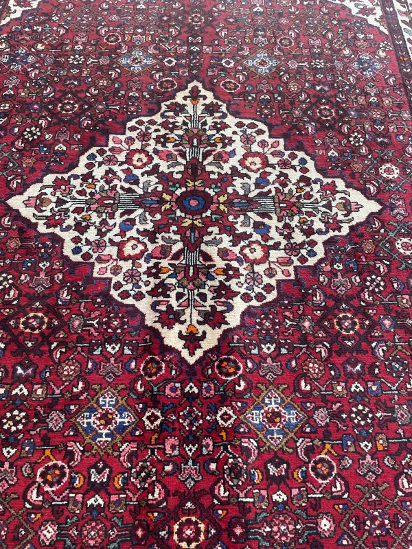 Persian Enjelass 317 x 217 cm - Image 5