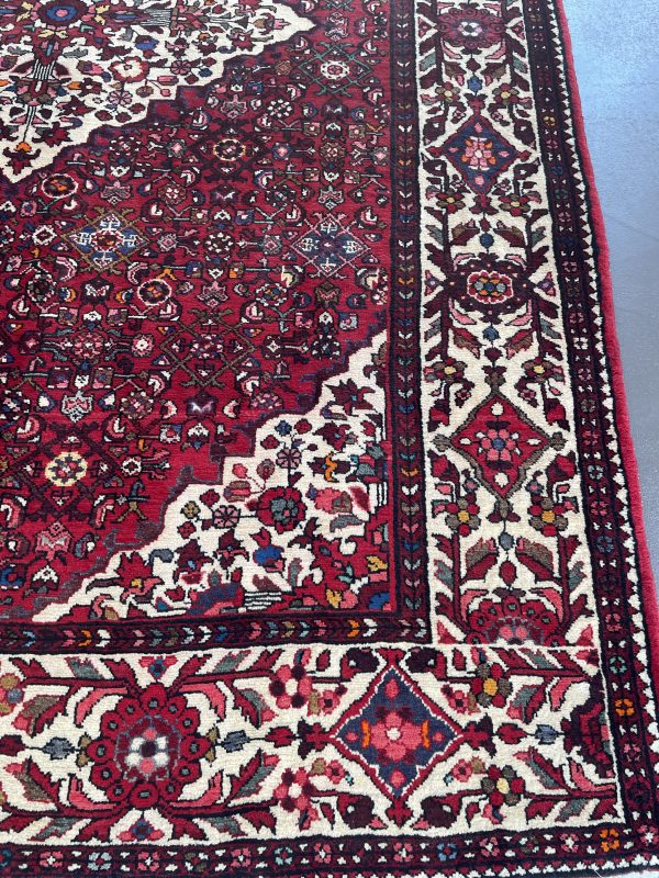 Persian Enjelass 317 x 217 cm - Image 6