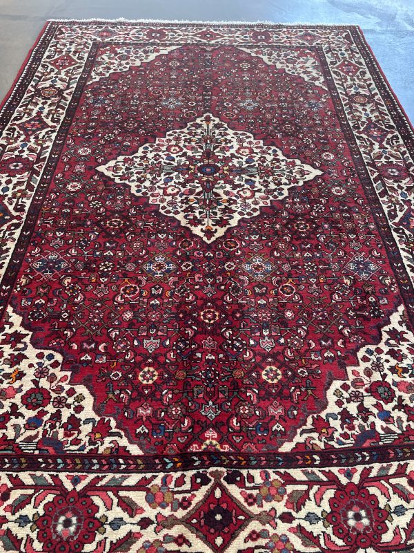 Persian Enjelass 317 x 217 cm - Image 7