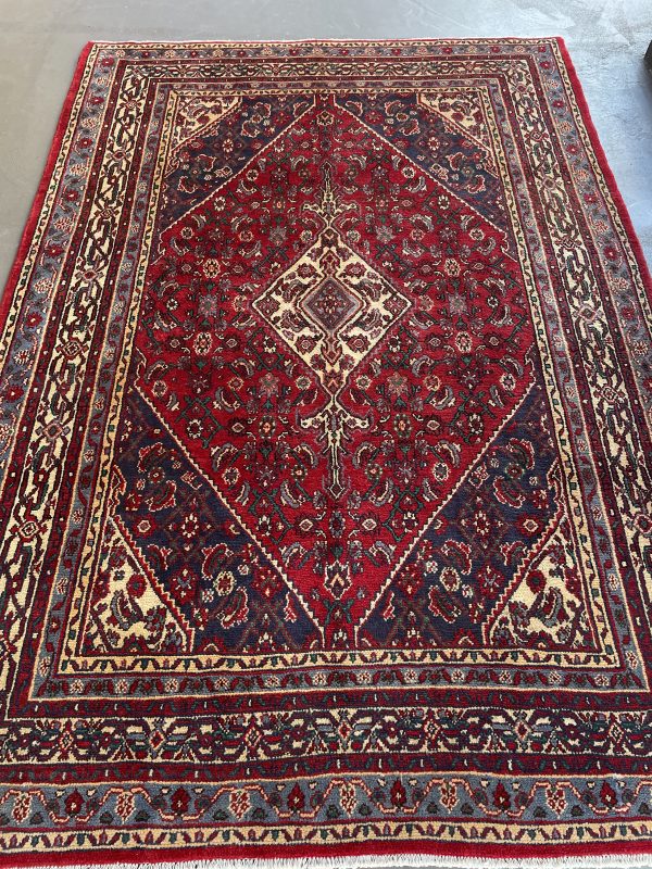 Persian Nanaj 305 x 210cm