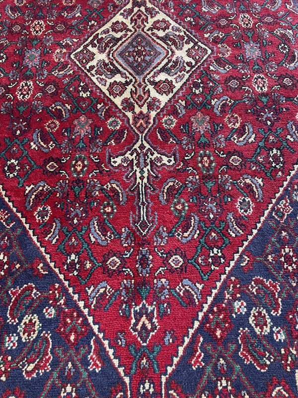 Persian Nanaj 305 x 210cm - Image 4